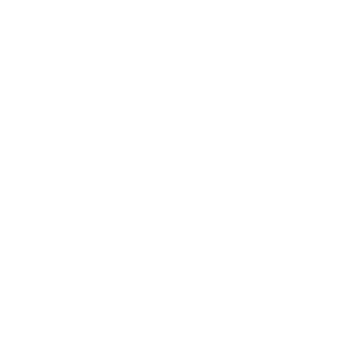 Peak Technology Partners